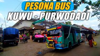 PESONA BUS PEDESAAN KUWU - PURWODADI I Trip Bus Roda Trans Bersemi 'Mantan PlayBoy'