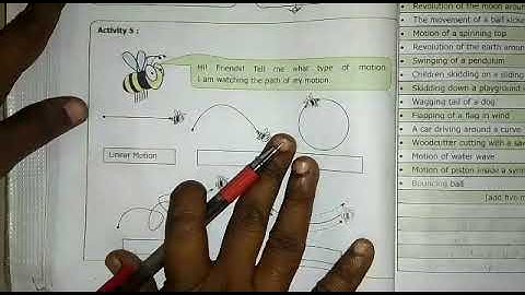 Activity 5: What type of motion?