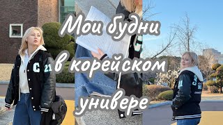 Мои будни в универе/Корейский универ/ 4 курс/ KOREA VLOG