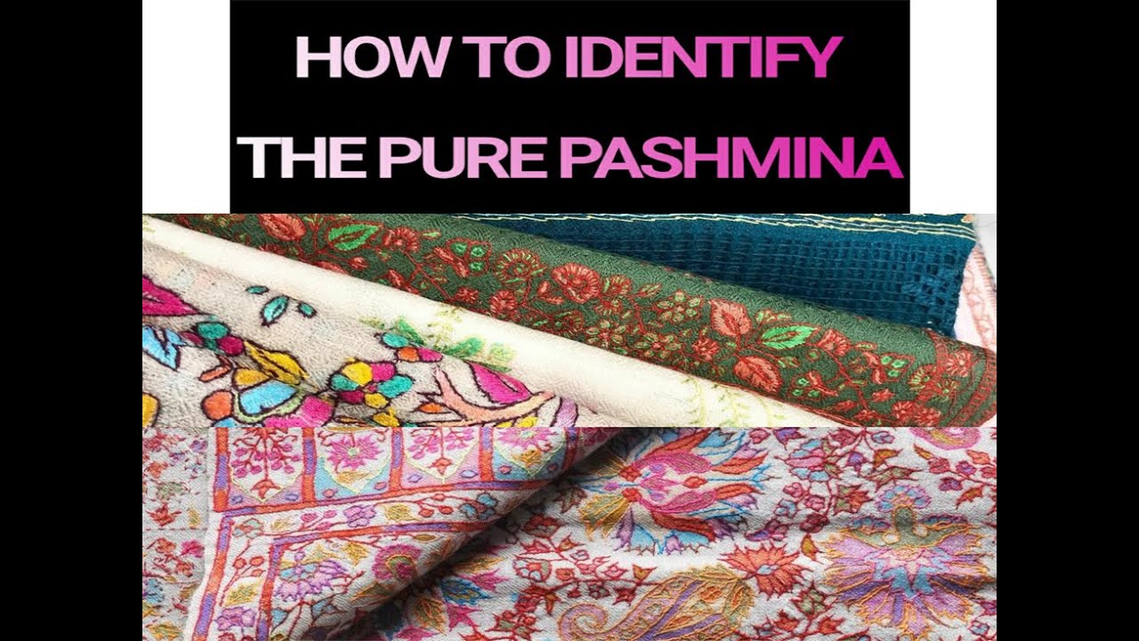 Pashmina Shawl is Famous in the World NCERT Class 5 EVS Chapter 13