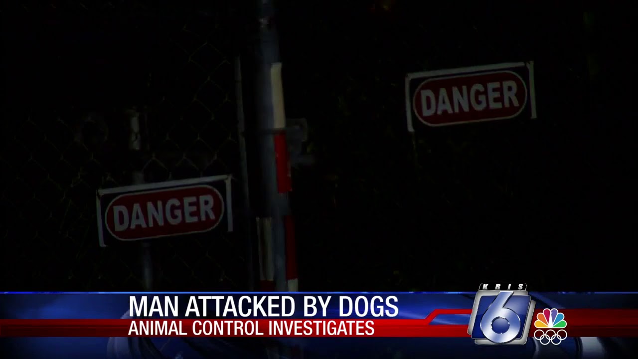 Westside man hospitalized after early-morning dog attack - YouTube