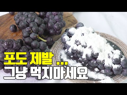 포도의 모든것! 이것만 숙지하세요(고르는법,씻는법,보관법,먹는법,효능)