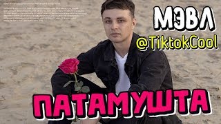 МЭВЛ #Патамушка 2019 Премьера Новый Трек В Тренде Tik Tok