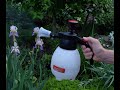 Foliar Feeds, Exploring the Use Of Homemade Amendment Sprays in a Regenerative Vegetable Garden