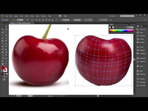 Illustrator - Image Trace vs Mesh Tool (pretvaranje rastera u vektor)