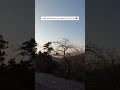 Safar khoobsurat hai, manzil se bhi zyada♥️ #trending #viral #youtube #explore #trendingshorts