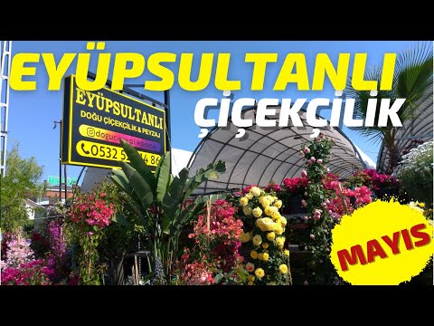 KUMBURGAZ "EYÜP SULTANLI ÇİÇEKÇİLİK" ZİYARETİM 🌸🌸