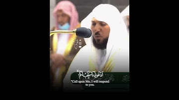 ﴿وَقالَ رَبُّكُمُ ادعوني أَستَجِب لَكُم﴾ ماتيسر من سورة غافر للشيخ ماهر المعيقلي 🤍..