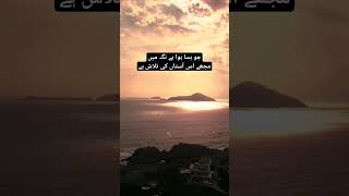 yunus emre #raheishq #sufism #allah #trending #trendingshorts #trend #viral #viralshorts