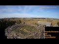 Gniazdo Bocianie pod Sokółką - 04 - 05.03.2026.