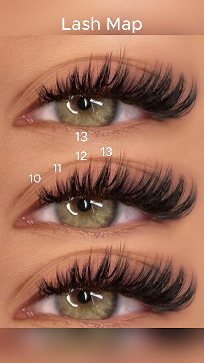 LASH MAP | FADLASH Amazon