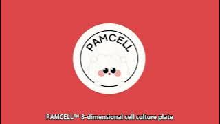How to deal with Pamcell plates for SEM observations