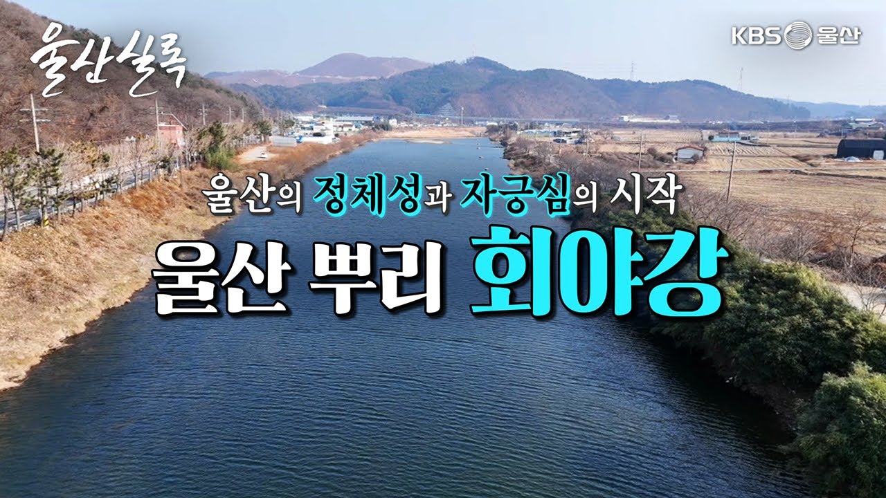 울산의 뿌리 회야강 [KBS울산 보물창고 - 울산실록] 25.1.14 방송