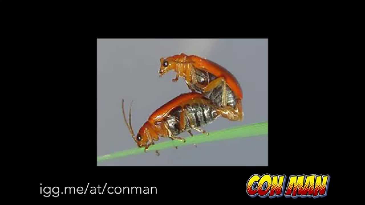 Алан Тюдик отвечает на вопросы по «Конмэну», часть 3 (с русскими субтитрами)