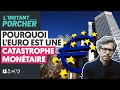 COMMENT L'EURO NOUS TUE AU QUOTIDIEN