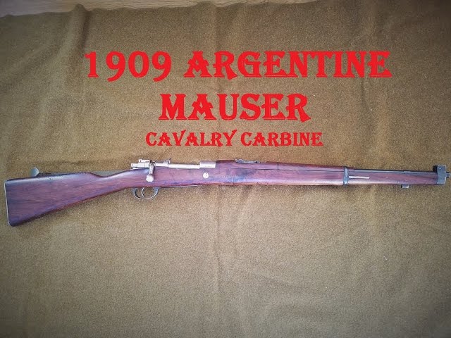 unissued 1891 argentine mauser values