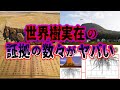 【ゆっくり解説】世界樹は実在した！驚くべき証拠と隠蔽された恐るべき理由について【ユグドラシル】
