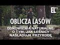 Odnowienia naturalne. O tym, jak leśnicy naśladują przyrodę | Oblicza lasów #37