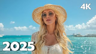 🌴 Tropical Deep House 2025 | 4K UHD Chill Ocean Vibes for Smart TV | Pulsea