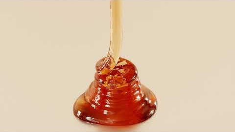 Fluid Simulation Honey