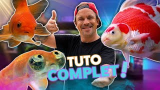 TOUT POUR METTRE BIEN TON POISSON ROUGE ! -TOOPET