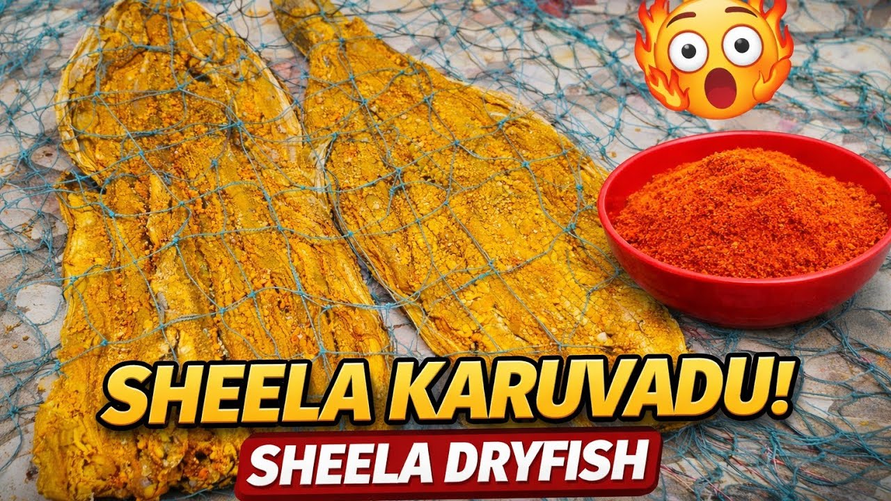 ஷீலா மீன் கருவாடு  10 கிலோ மீன் காய வைப்பது பார்க்கலாமா😲 எவ்வளவு பணம்👍  கேக்குறீங்களா?  ₹4000 👍 💯