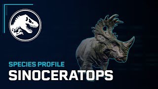 Species Profile - Sinoceratops