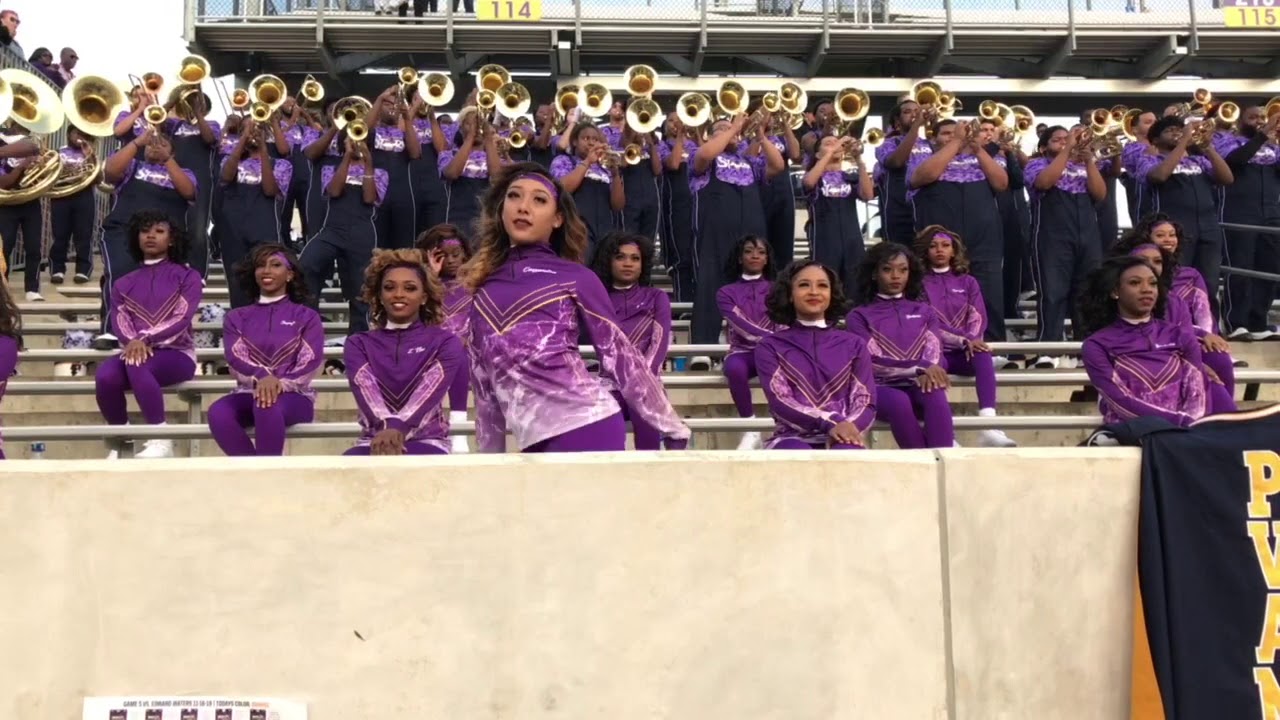PVAMU Black Foxes | Human Nature | High School Band Day