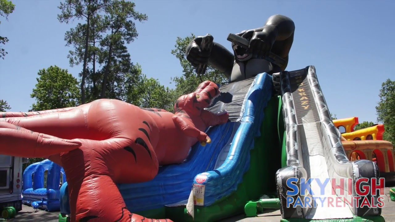 Dinosaur Slide,Dinosaur Slide at Amusement Park