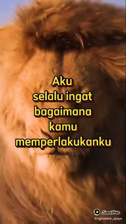 Singa