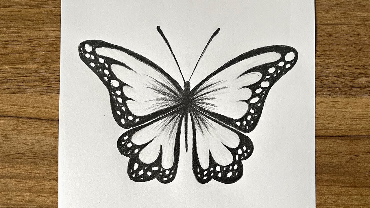 Deli Colored Pencil Artwork, Butterfly Art — The Art Gear Guide