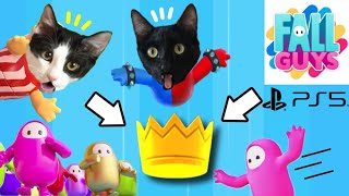 FALL GUYS PS5 en español ¿conseguimos las coronas? / Videos de gatos Luna y Estrella