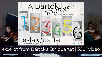 360° video | Béla Bartók