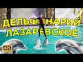 День 3 / ДЕЛЬФИНАРИЙ ЛАЗАРЕВСКОЕ / ОТДЫХ НА МОРЕ ЛАЗАРЕВСКОЕ СОЧИ 2021 4к видео