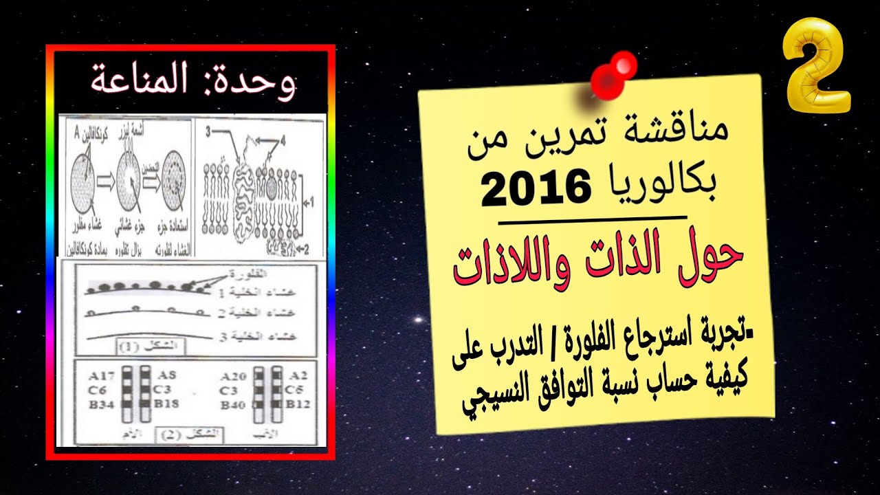 💢مناقشة تمرين بكالوريا 2016 بأفكار جيدة حول الذات واللاذات+التدريب على منهجية التفسير وكتابة نص علمي
