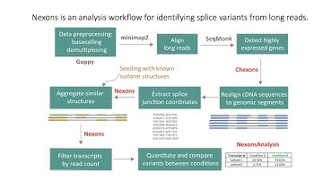 Characterisation of full-length transcripts with... - Ozge Gizlenci - iRNA - Poster - ISMB 2022