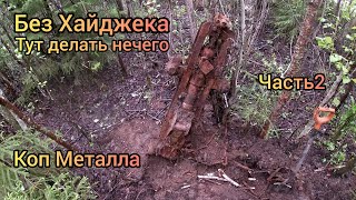 Если не Хайджек, все эти находки остались бы в лесу! Часть2!