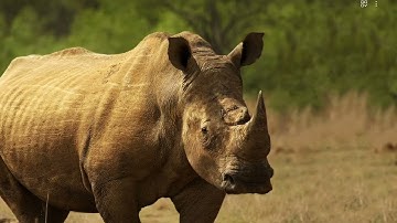 Lock screen slideshow part 1