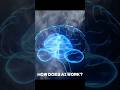 AI series part-2 / How does AI work?#artificialintelligence #ai #codenova #techshorts