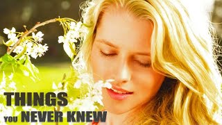 Teresa Palmer: Things You Never Knew About Her!
