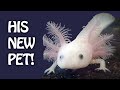 Visiting an Axolotl Breeder for Valentine's Day
