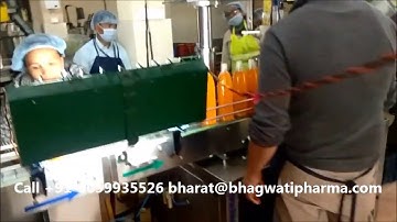 Mango Juice Pet Bottle Automatic Four Head Servo Motor Operated Piston Filling Line