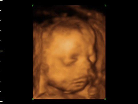 jennie solo текст jennie & wesley