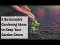 5 Sustainable Gardening Ideas to Keep Your Garden Green