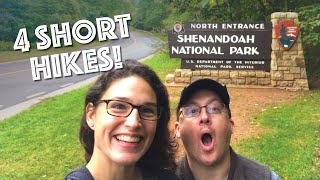 Shenandoah National Park - Four Short Hikes Appalachian Mountains, Ep. 1