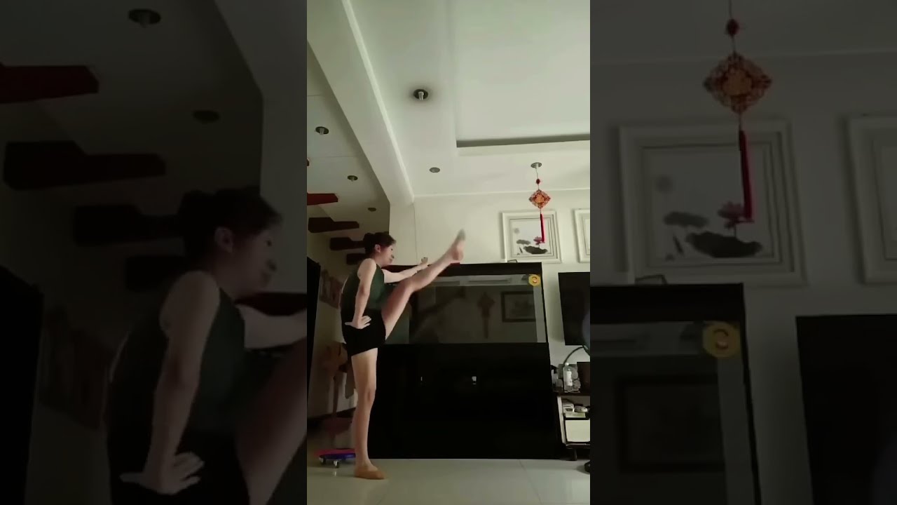 Woman Accidentally Kicks Dog Away While Exercising Funny Viral Memes Fails Underrated