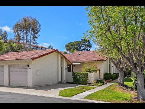 1984 Jayton Lane, Encinitas, CA home video tour