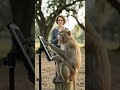 dekho monkey bahut fast Sikh raha hai#video#shot