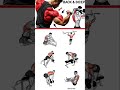 full back home workout plan 💪#workout #shoulder #chest #sixpack #back #legs #triceps