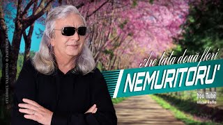 NEMURITORU' . Are tata doua flori (oficial audio)